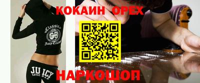 Альфа ПВП Малгобек