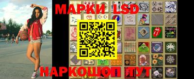Альфа ПВП Малгобек