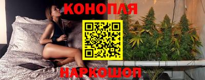 Альфа ПВП Малгобек