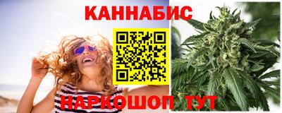 Альфа ПВП Малгобек