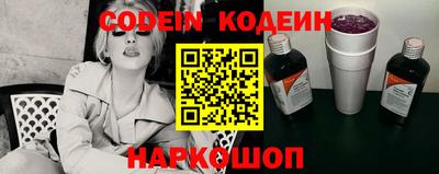 Альфа ПВП Малгобек
