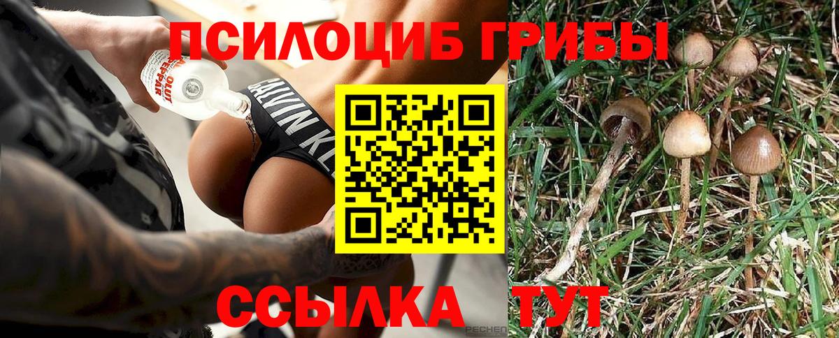Россошь  Галлюциногенные грибы мицелий  Вход с VPN 